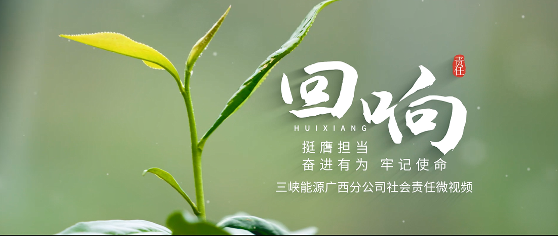 三峽能源第九屆微視頻大賽